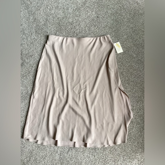 a new day Dresses & Skirts - A New Day Silver Cream Midi Slip Skirt